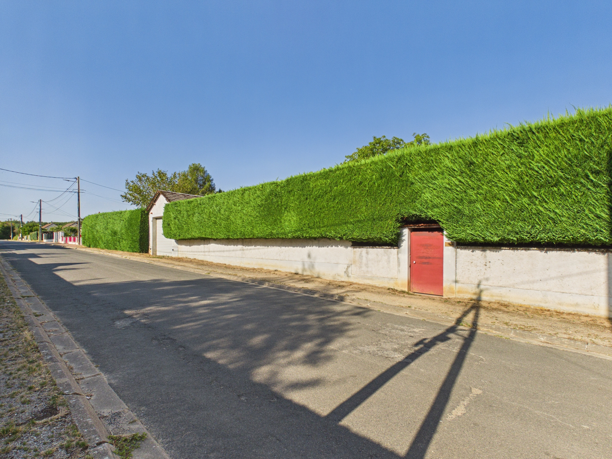 image annonce