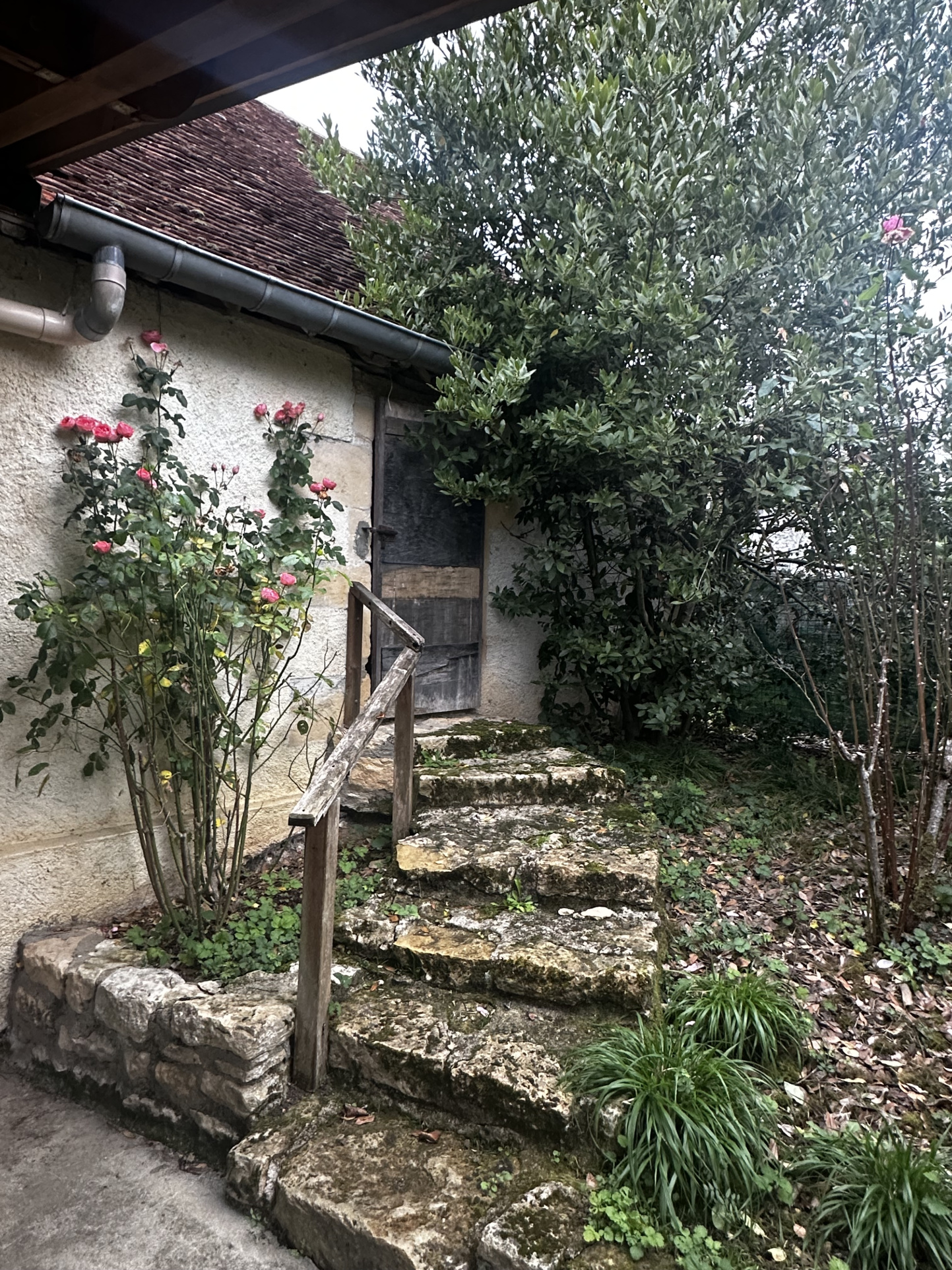 image annonce